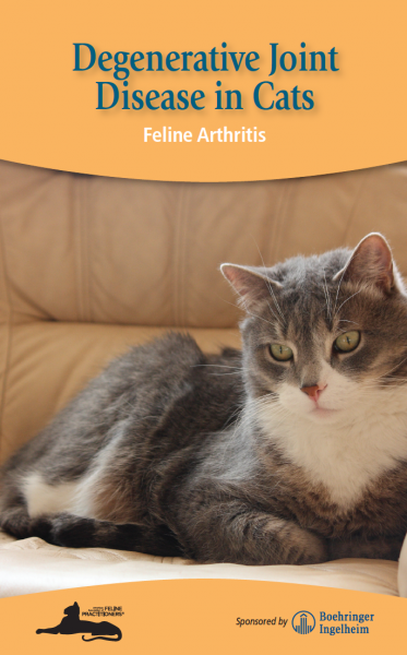 Degenerative Joint Disease in Cats Brochure Cover