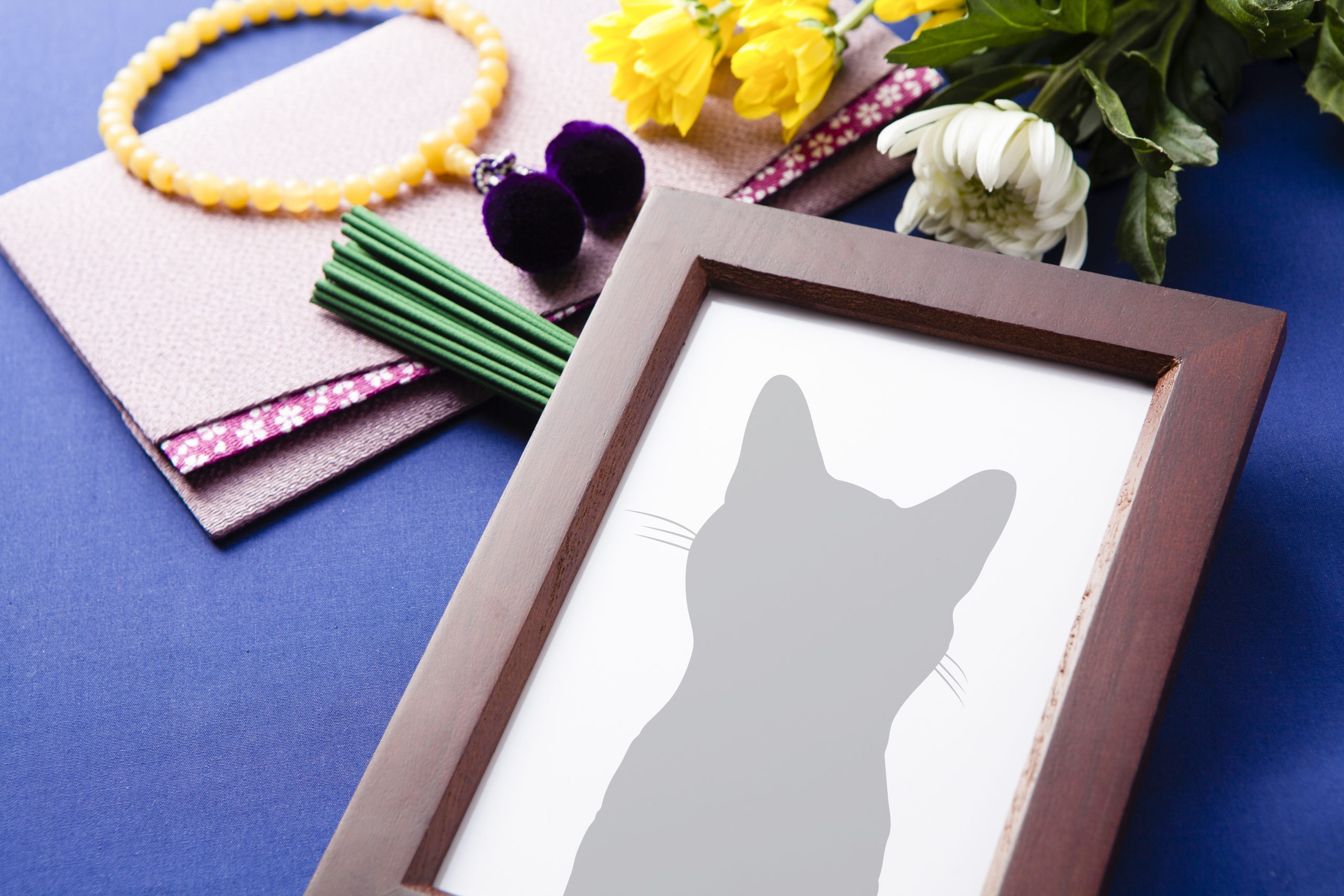 Grieving your cat