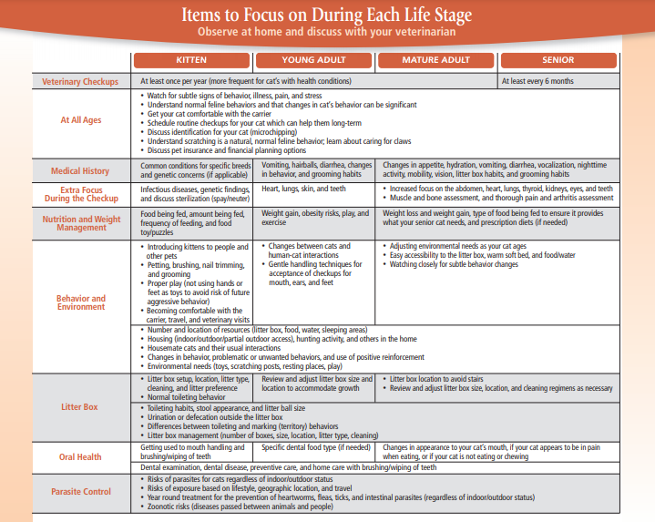 Items to focus on during each life stage