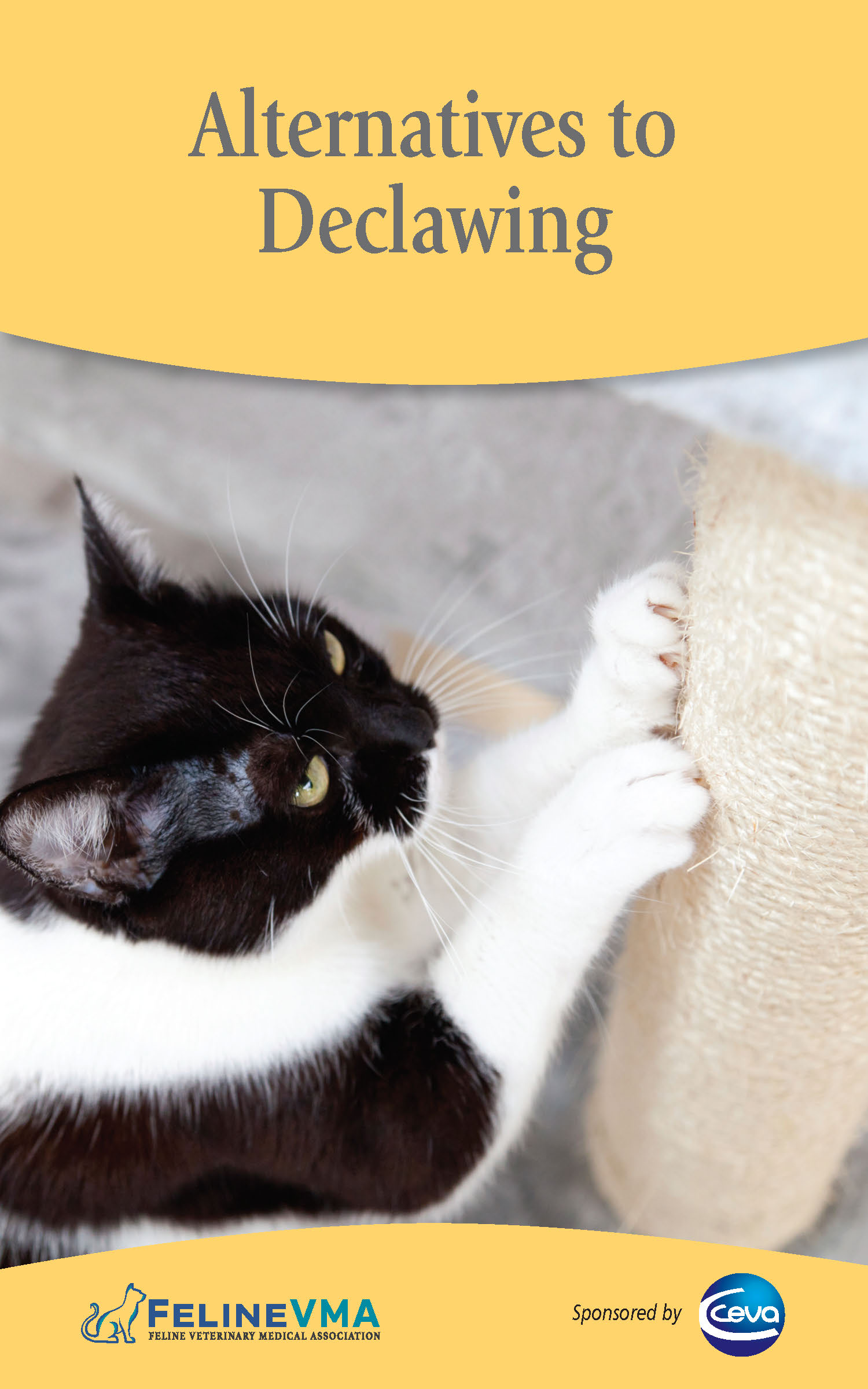 FelineVMA Alternatives to Declawing Brochure Cover