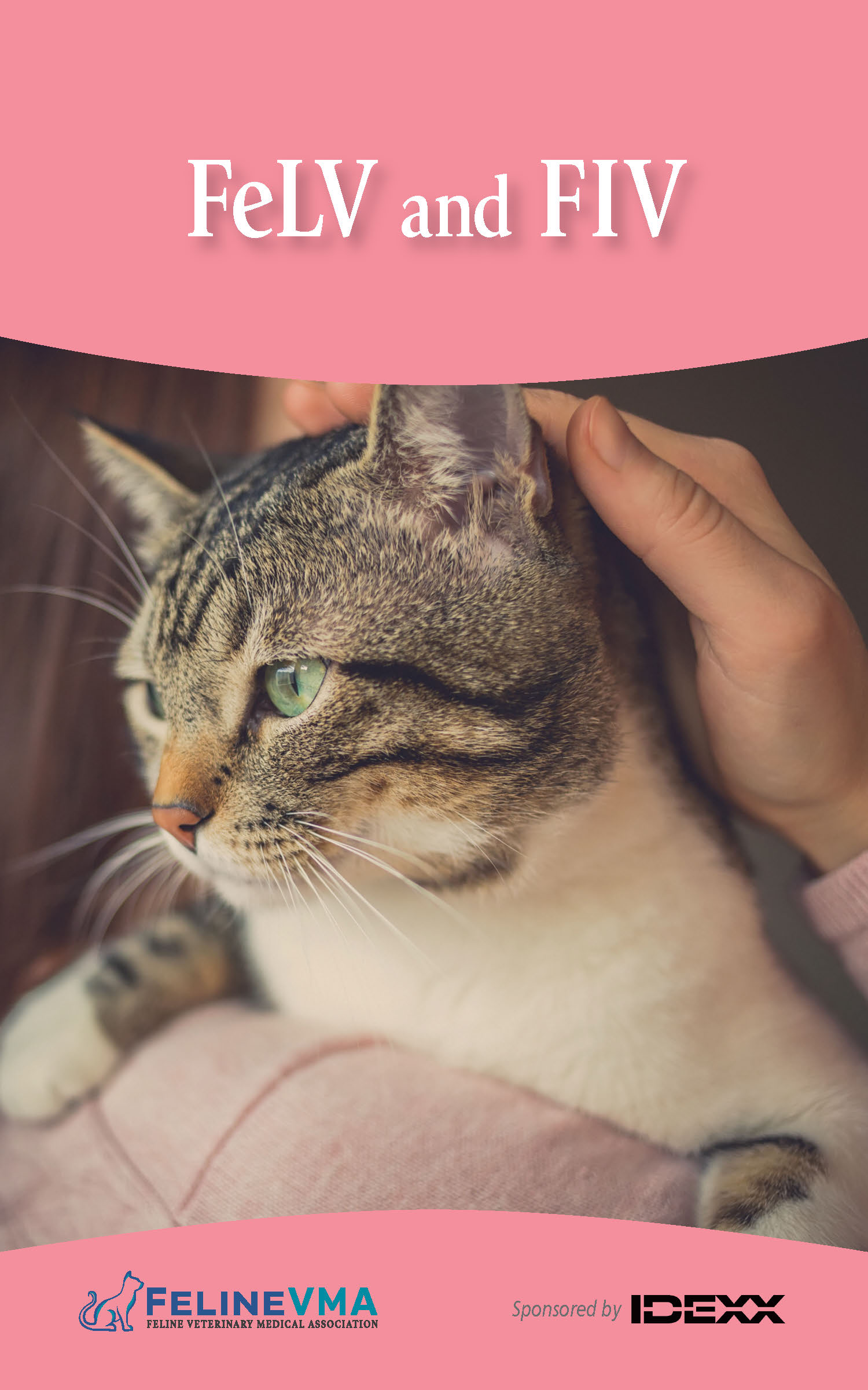 AAFP FeLV brochure cover